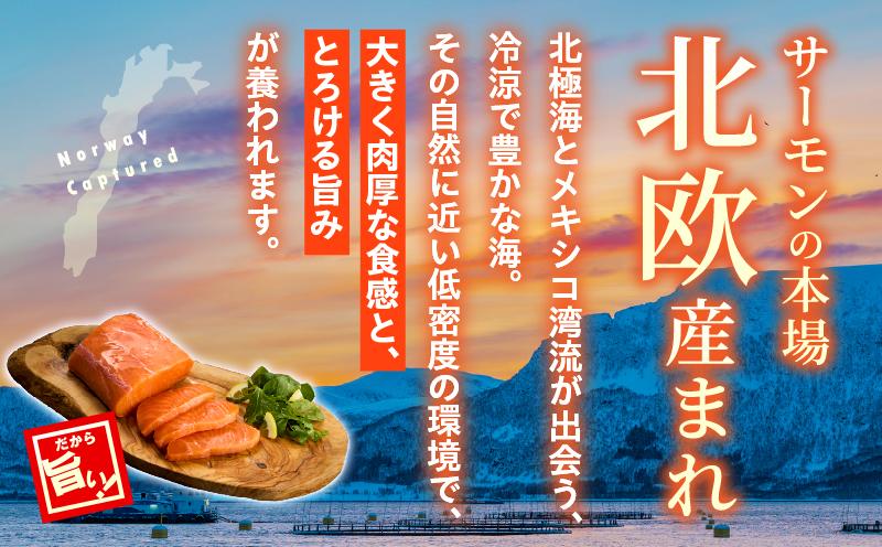 アトランティックプリンスサーモン(プレミアム)500g アトランティックプリンスサーモン モウイプリンス サーモン 鮭 お寿司 寿司 刺身 にぎり寿司 カルパッチョ サラダ グリル