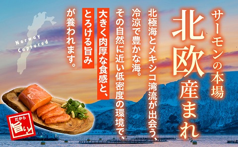 アトランティックプリンスサーモン(プレミアム)1kg