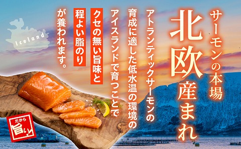 アトランティックサーモン 1.5kg サーモン アトランティックサーモン お刺身 刺身 鮭 しゃけ
