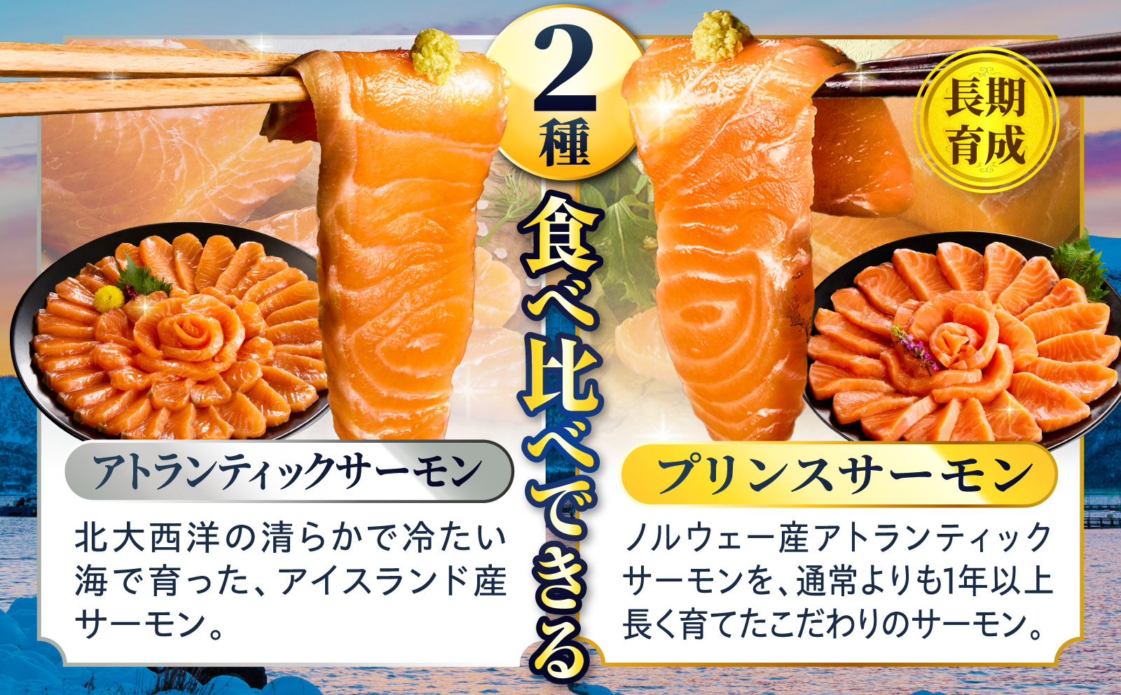 食べ比べセット アトランティックプリンスサーモン(プレミアム)500g・アトランティックサーモン 500g 合計1kg サーモン 鮭 シャケ 刺身 カルパッチョ