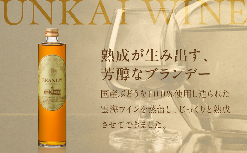 【最速便】雲海葡萄酒醸造所 ブランデー 500ml ワイン 果実酒 ギフト