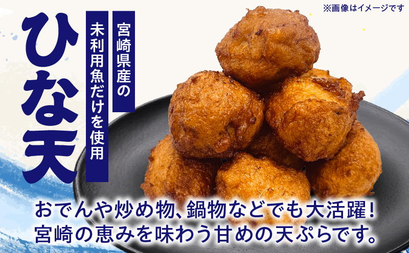 魚のすり身の天ぷら「ひな天」 魚 未利用魚 さつま揚げ