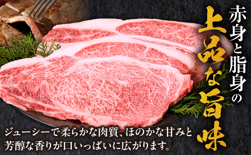 宮崎牛サーロインステーキ2枚 合計400g 霜降り 赤身 旨味