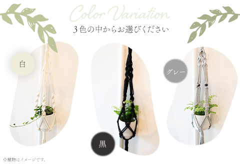 《白》季節の観葉植物と3色から選べるマクラメハンギングプランタ―のセット