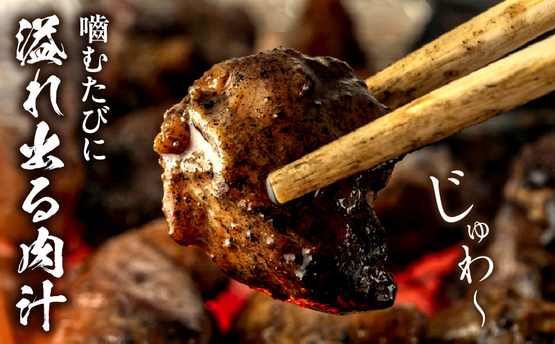 みやざき地頭鶏炭火焼(ゆずこしょう付) 炭火焼き 柚子胡椒 鶏肉 おつまみ 5袋 鶏肉