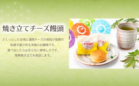 宮崎てげうまスイーツ詰め合わせ(日向夏みかん最中10個、焼き立てチーズ饅頭10個)