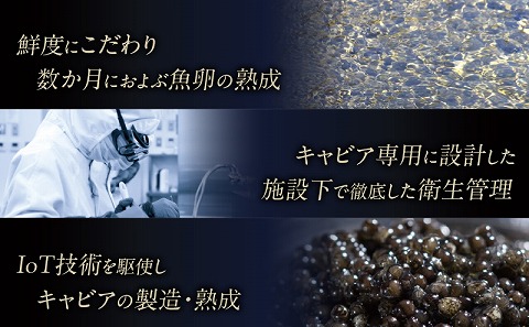 宮崎キャビア1983 オシェトラプレミアム (20g)