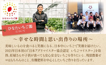 《2024年3月体験・宿泊分》いちご狩り体験付きシェラトン・グランデ・オーシャンリゾートペア宿泊券