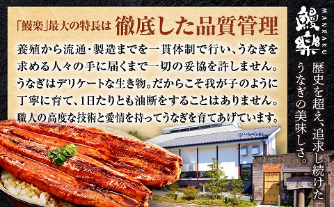 国産うなぎ蒲焼2尾(計320g以上) 鰻蒲焼 ウナギ蒲焼用たれ さんしょうのセット|うなぎ1尾160g以上の鰻2尾からなるウナギの詰め合わせ|うなぎ 蒲焼き うなぎ蒲焼 冬うなぎ 冬鰻 簡単調理 レンジ 湯煎 レトルト セット 国産 惣菜 魚介 水産物 贈答 贈り物 ギフト 化粧箱入り 小分け パック 冷凍 人気 おすすめ 鰻楽|
