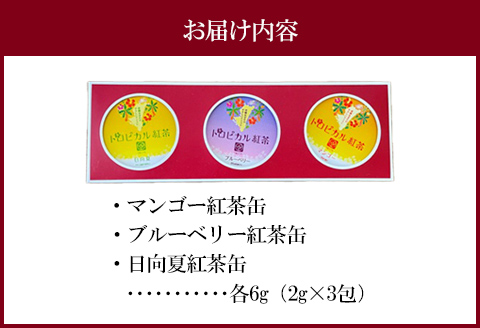 トロピカル紅茶 3点 セット