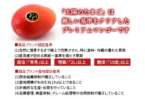 《2026年発送先行予約》【数量・期間限定】宮崎県産完熟マンゴー「太陽のタマゴ」A3L(2玉入り) 国産 マンゴー 太陽のタマゴ ギフト