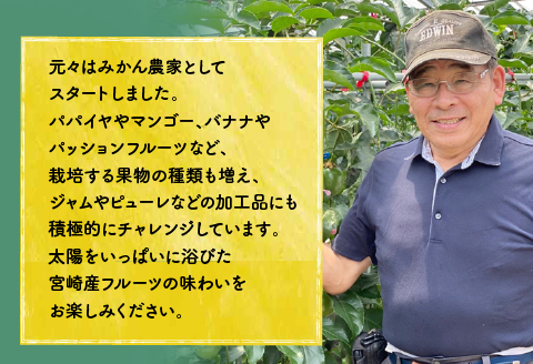 《2026年発送先行予約》【数量・期間限定】8年かけて誕生した宮崎県産極上パッションフルーツＭ 2kg 完熟 フルーツ 贈り物