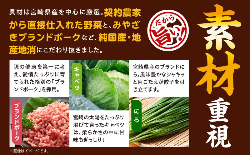 【簡易包装】屋台骨 宮崎餃子(60個×1袋)