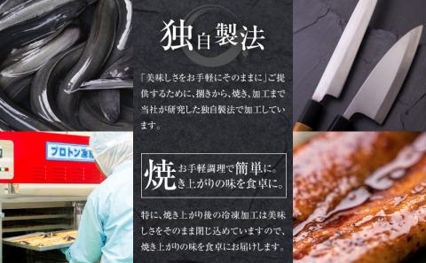 鰻蒲焼 大サイズ2尾セット