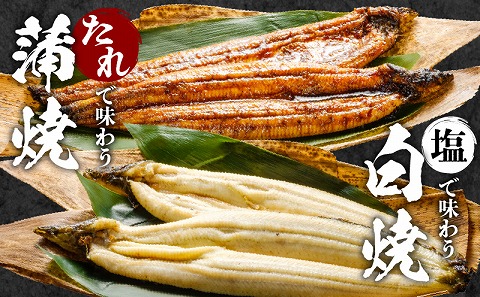白焼大2尾・蒲焼大2尾セット