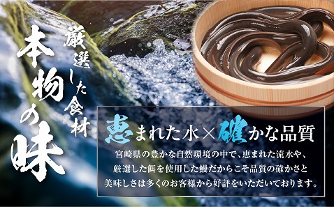 うなぎ白焼(超特大サイズ) 2尾