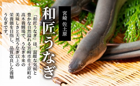 【宮崎市佐土原産】和匠うなぎの備長炭手焼き蒲焼2尾350ｇセット