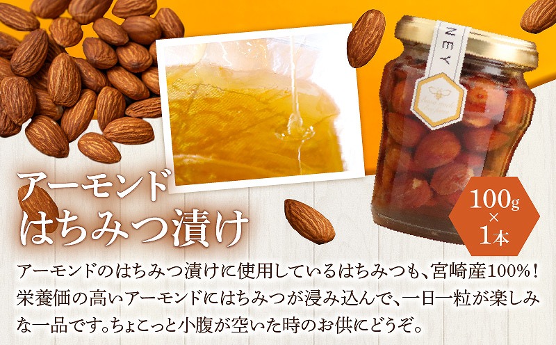 【最速便】【数量・期間限定】宮崎産非加熱ハチミツ(南国青島シリーズ)2本＋アーモンドハチミツ漬けセット 蜂蜜 国産 非加熱