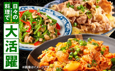 宮崎県産豚肉小間切れ 200g×5パック 肉 豚肉 国産