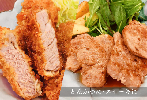 宮崎県産 豚ヒレ ブロック 3本 約1.2kg～1.5kg |豚肉 豚 ぶた 肉 国産 ヒレ ブロック 3本 とんかつ ステーキ