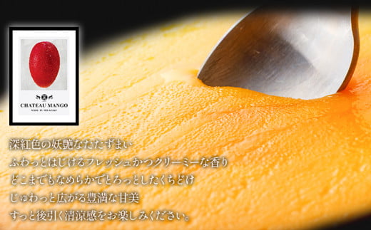《2026年発送先行予約》【数量・期間限定】シャトーマンゴー(中) AAA 2玉 宮崎マンゴー シャトーマンゴー フルーツ 果物 果実 スイーツ 完熟 