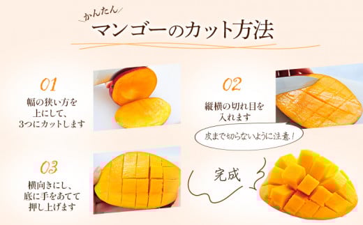 《2026年発送先行予約》【数量・期間限定】【訳あり】 完熟マンゴー 合計約1kg (2～3玉) 完熟 濃厚 訳あり