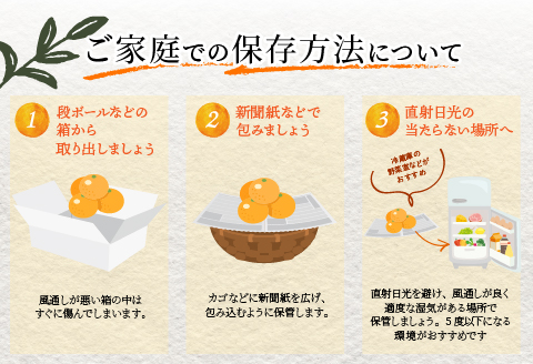 【期間・数量限定】宮崎市清武町産「せとか」訳あり（20～23個入）（約5kg）