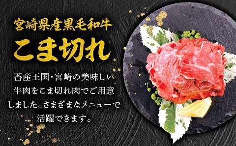 宮崎牛肩ロース焼肉300g 宮崎県産黒毛和牛こま切れ100g
