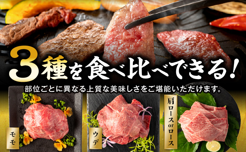 【期間・数量限定】畜産農家応援！宮崎県産 黒毛和牛 焼肉3種セット(肩ロースorロース・ウデ・モモ 各300g)・国産牛ハンバーグ100g×2個 牛肉 焼肉 ロース モモ ウデ