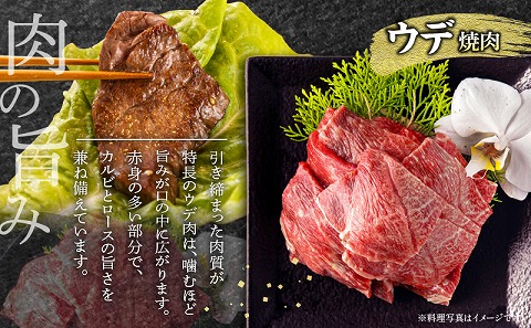 宮崎牛肩ロース焼きしゃぶ300g 宮崎牛ウデ焼肉400g