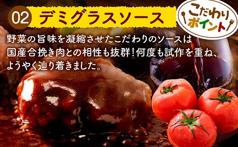 合挽デミグラスソースハンバーグ10個