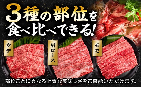 【期間・数量限定】畜産農家応援！宮崎県産 黒毛和牛 スライス3種セット(肩ロース・ウデ・モモ 各300g)・国産牛ハンバーグ100g×2個
