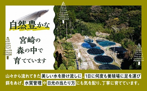 宮崎 -森のチョウザメ-sustainable PET FOOD