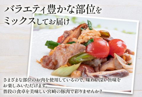 宮崎県産豚肉切り落とし 合計3kg