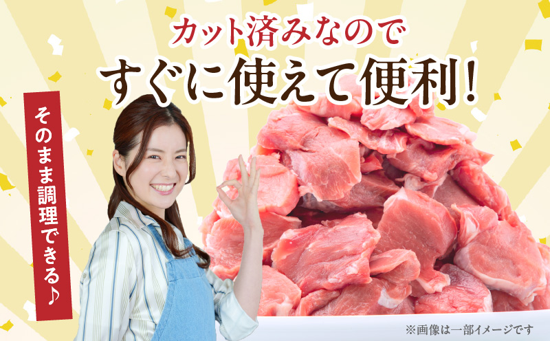 宮崎県産豚肉 ヒレ切り身 合計3kg
