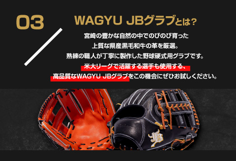 宮崎県産牛革使用 WAGYU JB硬式用オーダーグラブ