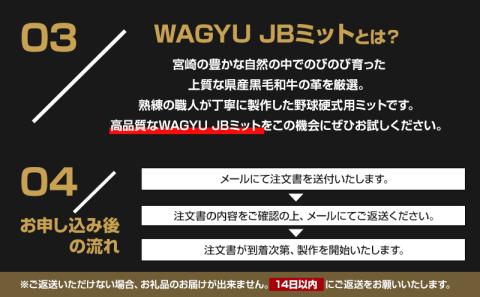 宮崎県産牛革使用 WAGYU JB硬式用オーダーミット