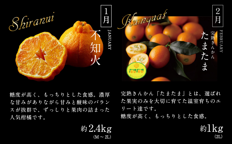 《2026年発送先行予約》【数量・期間限定】贈答用にもオススメ!バイヤー厳選!「厳選フルーツ定期便」(全6回) 果物 フルーツ 定期便