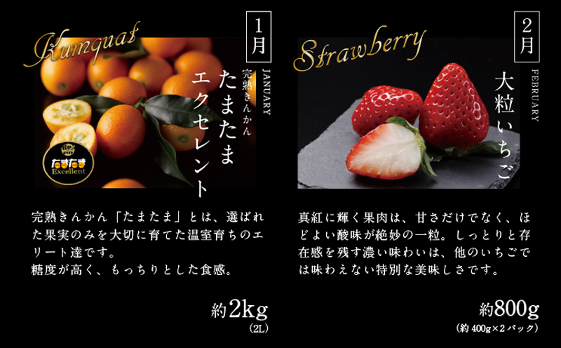 《2026年発送先行予約》【数量・期間限定】贈答用にもオススメ!バイヤー厳選!「至極フルーツ定期便」(全6回) 果物 フルーツ 定期便