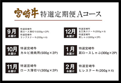 《期間・数量限定》特選! 宮崎牛定期便Aコース 2024年3月からお届け! 全12回