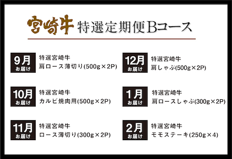 《期間・数量限定》特選! 宮崎牛定期便Bコース 2024年3月からお届け! 全12回