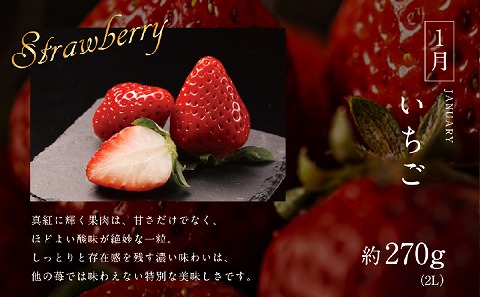 《2026年発送先行予約》【数量・期間限定】青果店厳選！「3ヶ月お届け！くだもの定期便Vol.1」 青果物 果物 フルーツ