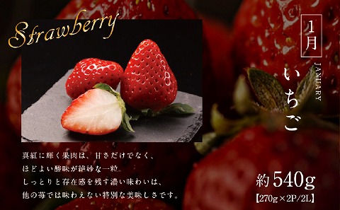 《2026年発送先行予約》【数量・期間限定】青果店厳選！「3ヶ月お届け！くだもの定期便Vol.2」 青果物 果物 フルーツ