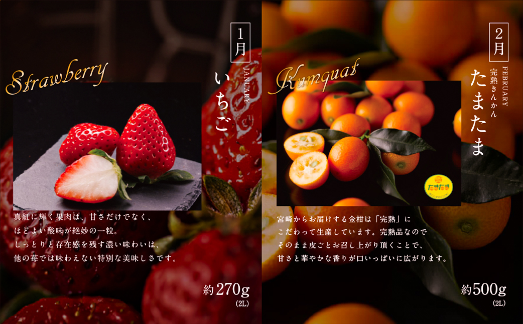 《2026年発送先行予約》【数量・期間限定】青果店厳選！「6ヶ月お届け！くだもの定期便Vol.1」 青果物 果物 フルーツ