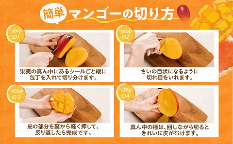 《2026年発送先行予約》【数量・期間限定】完熟マンゴー2L×2玉定期便　全4回 マンゴー フルーツ 果物 定期便