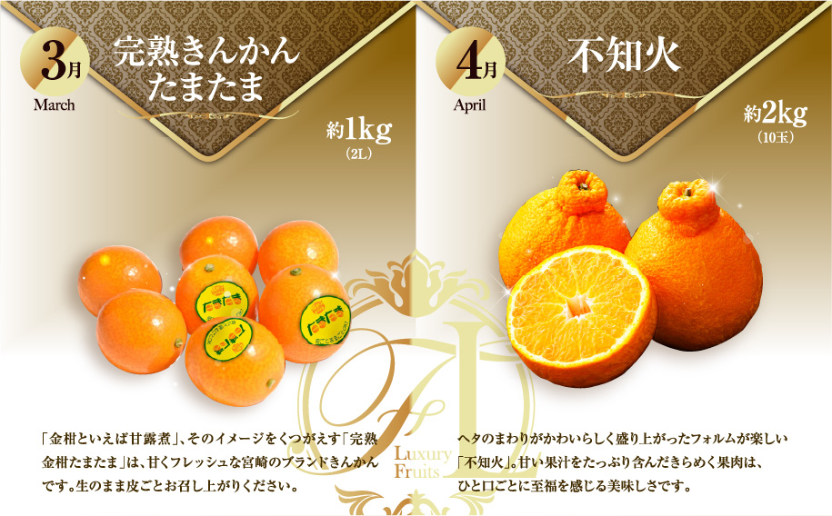 《2026年発送先行予約》【数量・期間限定】旬のくだもの定期便【全6回】 青果物 果物 フルーツ