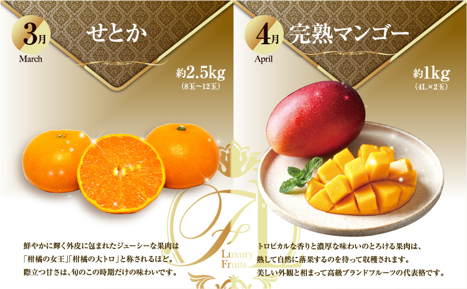 《2026年発送先行予約》【数量・期間限定】旬のくだもの【極】定期便【全6回】 青果物 果物 フルーツ