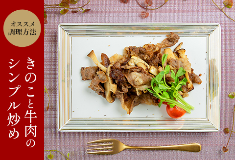 宮崎県産黒毛和牛こま切れ（煮込み、炒め物用）1.2kg（400g×3）