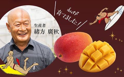 《2025年発送先行予約》【期間・数量限定】おがたのマンゴー 宮崎完熟冷凍マンゴー 1玉分(600g以上) 贈答品 小分けパック