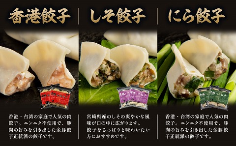 【定期便 全12回】金豚餃子セット（香港餃子・しそ餃子・にら餃子　1パック10個入×各2パック）